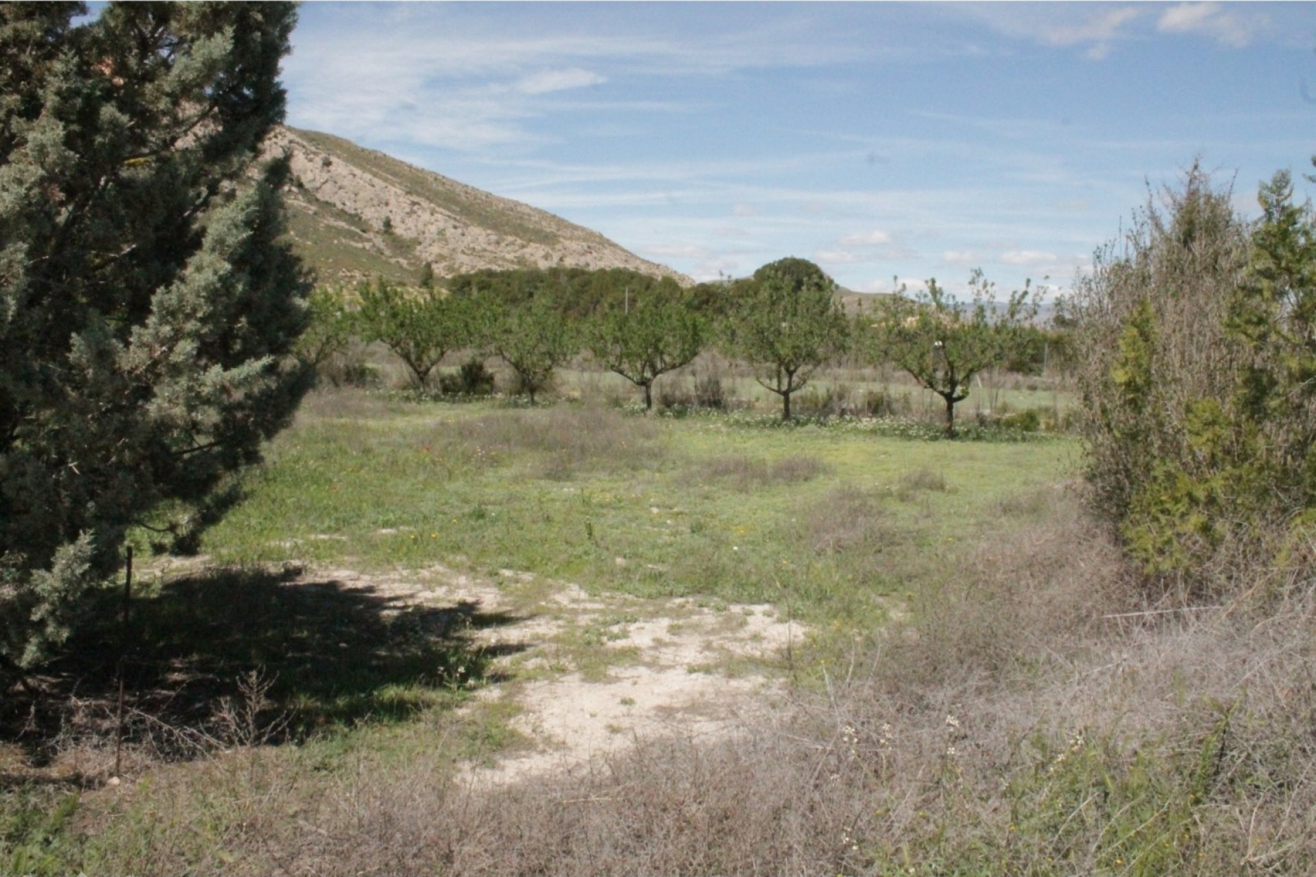 Reventa - Villa -
Villena