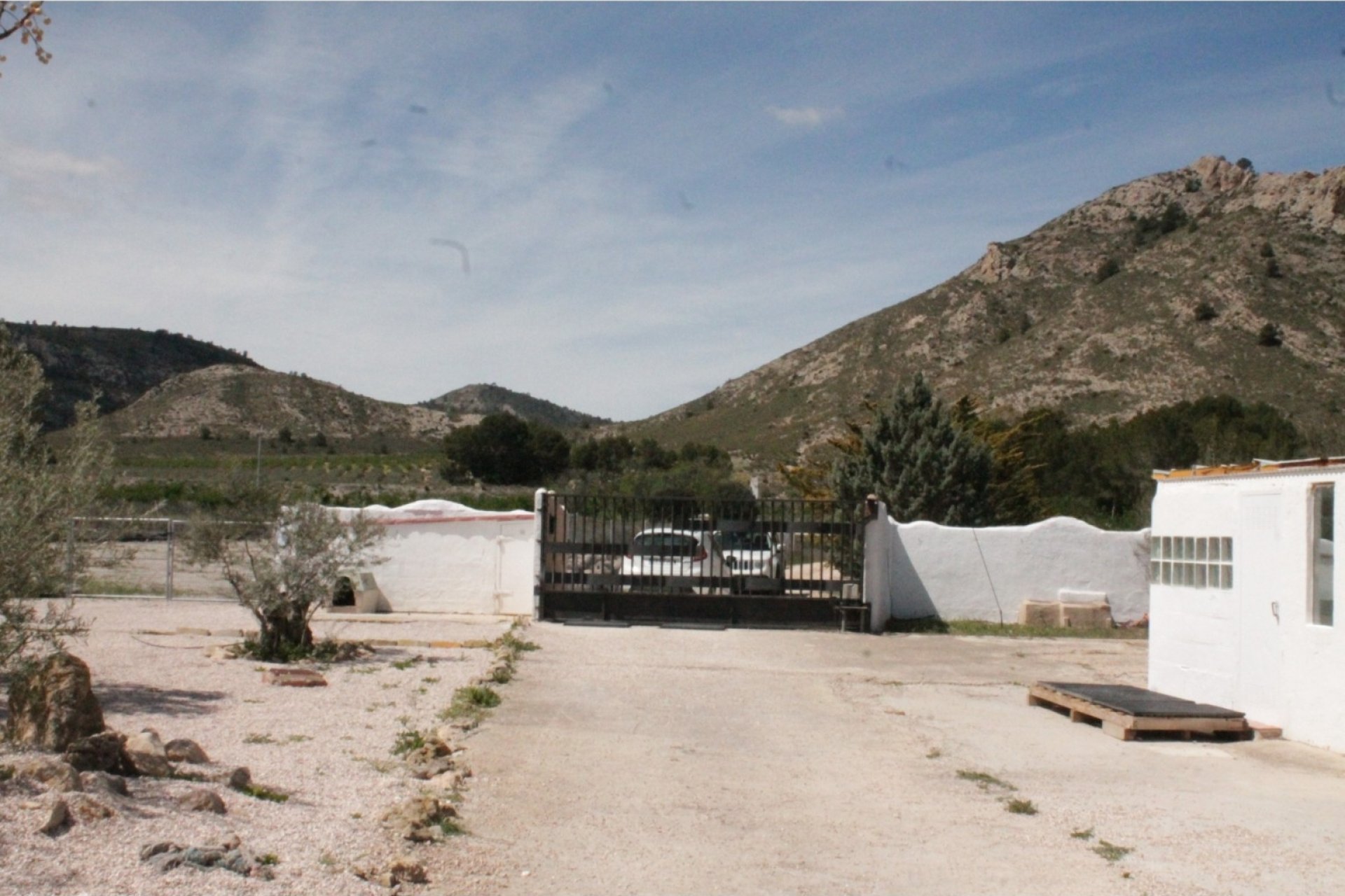 Reventa - Villa -
Villena