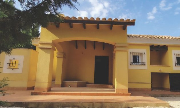 Villa - New Build - Fuente Álamo -
                Las Palas