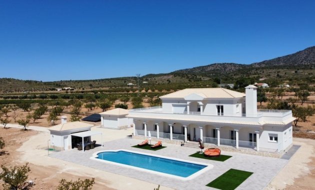 Villa - Obra nueva -
            Pinoso - NB-30238