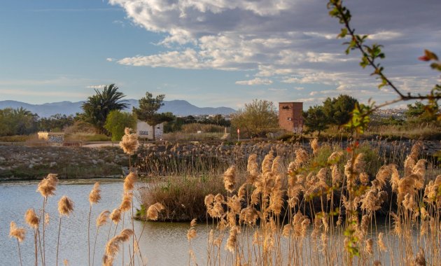 New Build - Bungalow -
Guardamar del Segura - Guardamar Del Segura