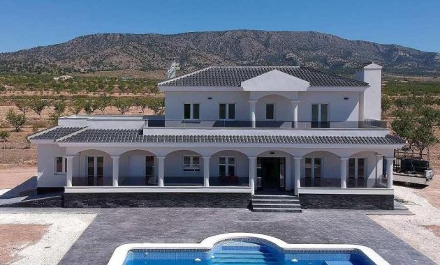 New Build - Villa -
Pinoso - Camino Del Prado