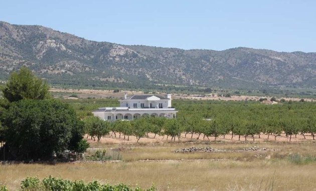 Nýbygging - Villa -
Pinoso - Camino Del Prado