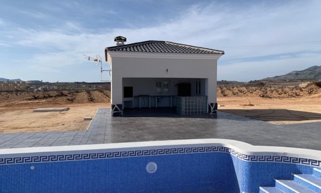 Nýbygging - Villa -
Pinoso - Camino Del Prado