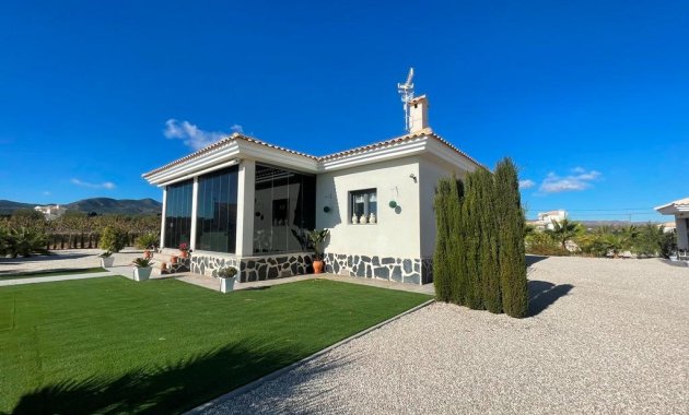 Nýbygging - Villa -
Pinoso - Camino Del Prado