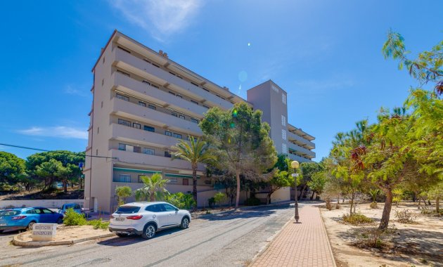 Resale - Apartment / flat -
Guardamar del Segura - Pinomar