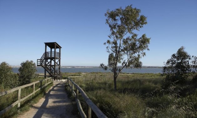 Obra nueva - Ático -
San Miguel de Salinas - Pueblo