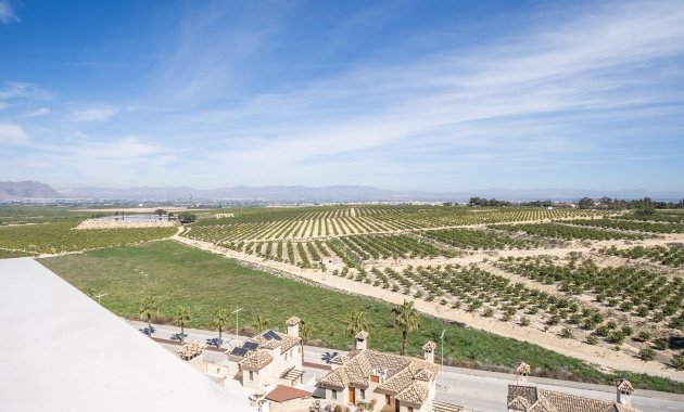 Nýbygging - Villa -
Algorfa - La Finca Golf