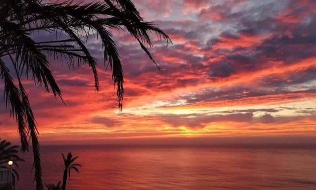Nýbygging - Einbýlishús -
Torrevieja - Altos del Sol