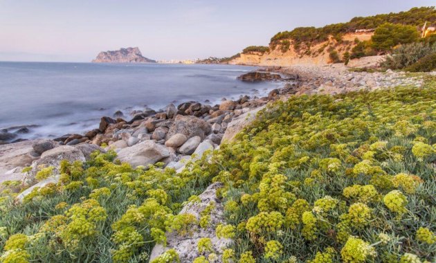 Nýbygging - Villa -
Benissa - Cala Advocat