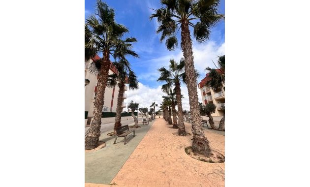 Obra nueva - Apartamento/ piso -
Orihuela Costa - Lomas de Cabo Roig