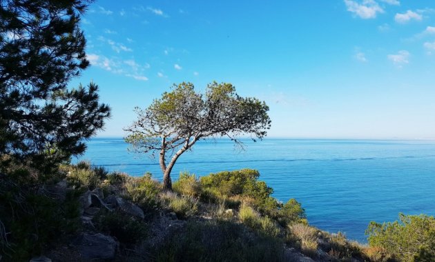 New Build - Ground floor apartment -
Villajoyosa - Playa Les Torres
