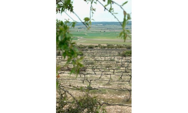 Obra nueva - Villa -
Yecla