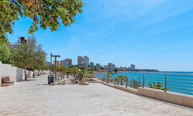 Reventa - Apartamento -
Alicante