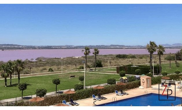 Resale - Apartment  -
Torrevieja - Baños de Europa