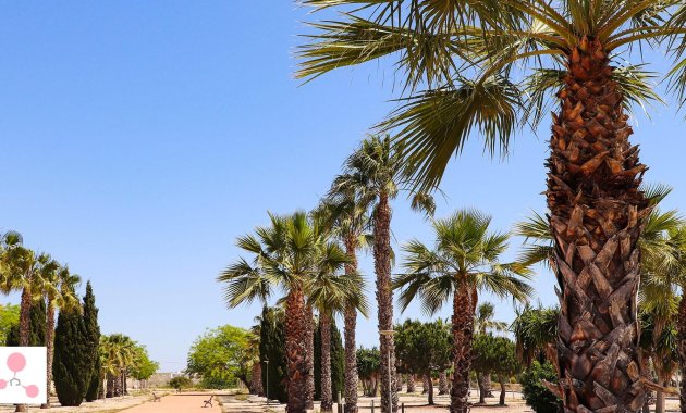 New Build - Villa -
San Fulgencio - La Escuera