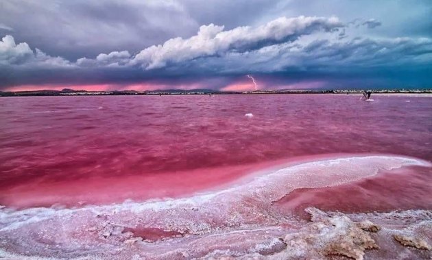 New Build - Ground floor apartment -
Torrevieja - Centro