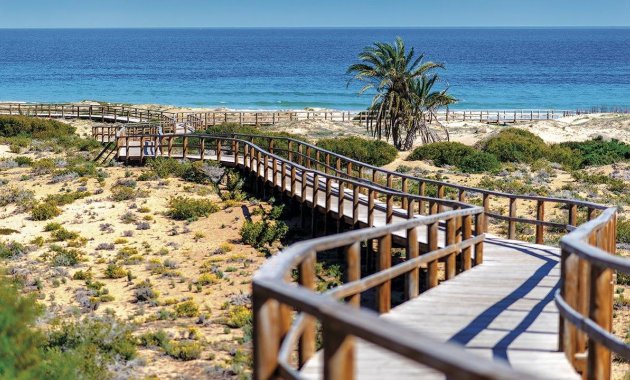 New Build - Ground floor apartment -
Monforte del Cid - Alenda Golf