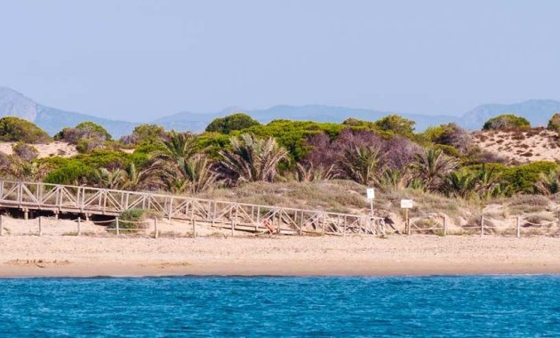 New Build - Ground floor apartment -
Guardamar del Segura - Pueblo