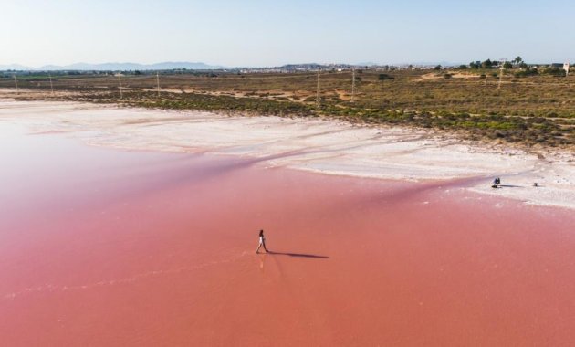 New Build - Apartment  -
Torrevieja - Habaneras