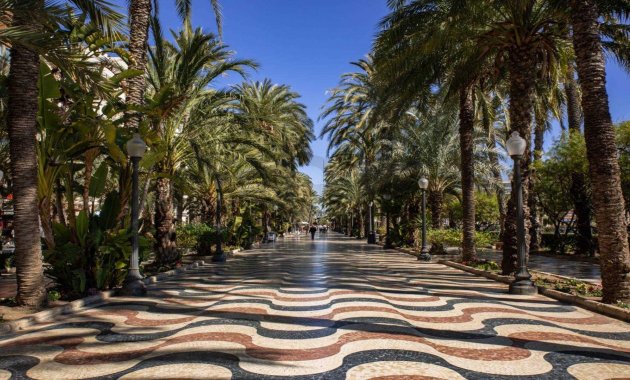 New Build - Apartment  -
Alicante - Centro