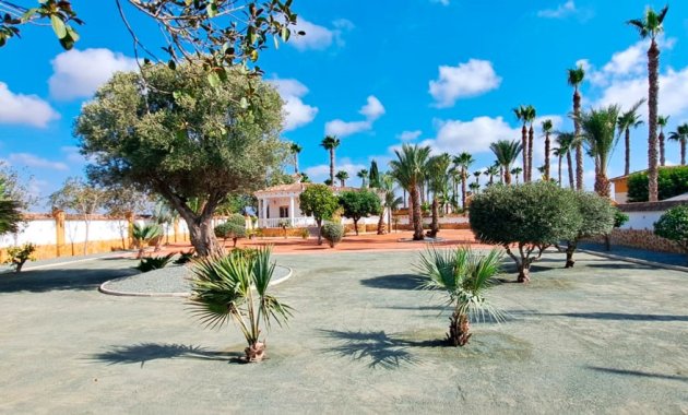 Resale - Country House -
Catral - Catral - Country