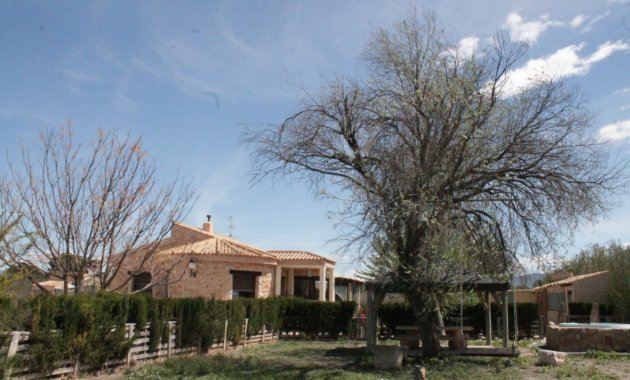 Reventa - Villa -
Villena