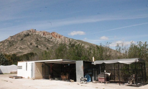 Reventa - Villa -
Villena