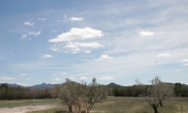 Reventa - Villa -
Villena