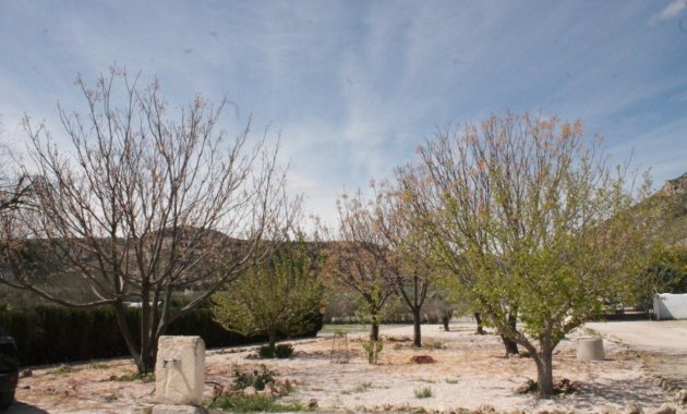 Reventa - Villa -
Villena