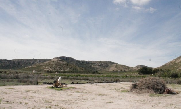 Reventa - Villa -
Villena