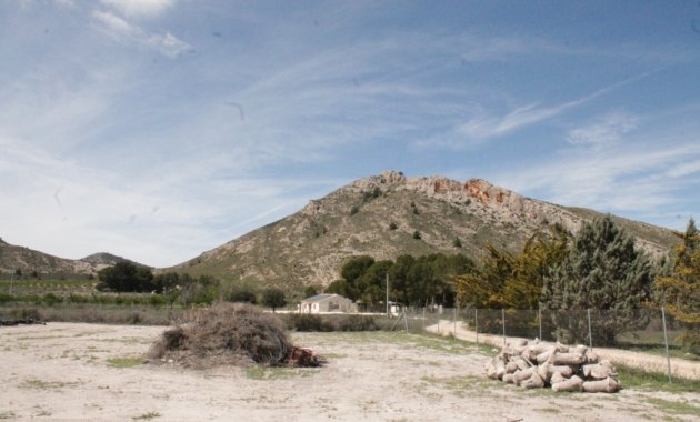 Reventa - Villa -
Villena
