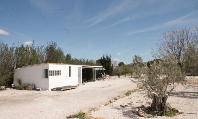 Reventa - Villa -
Villena