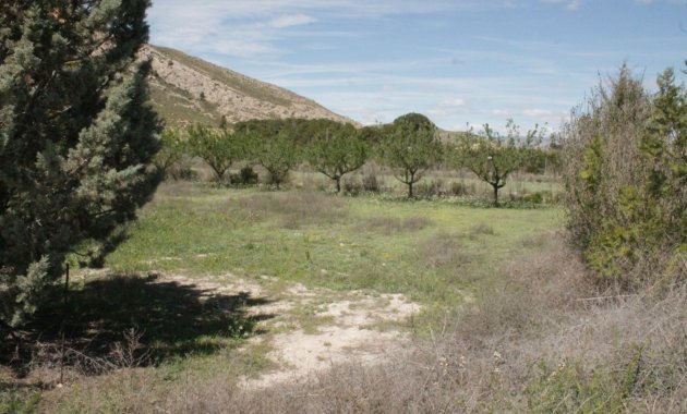 Reventa - Villa -
Villena