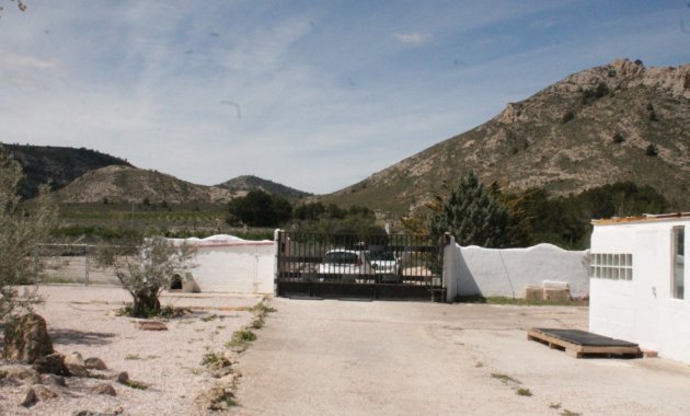 Reventa - Villa -
Villena