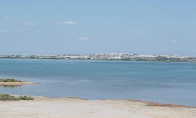 Resale - Apartment  -
La Mata - La Mata - Town