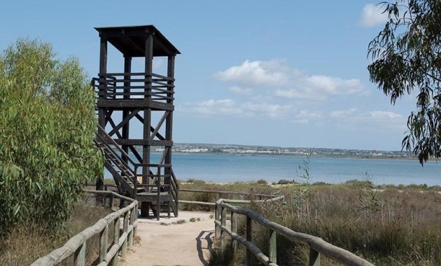 Resale - Apartment  -
La Mata - La Mata - Town