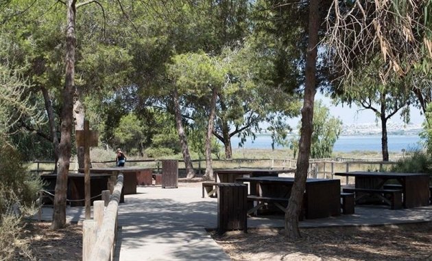 Resale - Apartment  -
La Mata - La Mata - Town