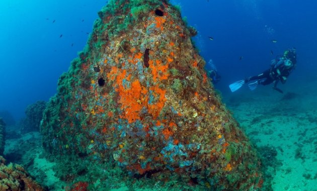 New Build - Apartment  -
Aguilas - Isla Del Fraile