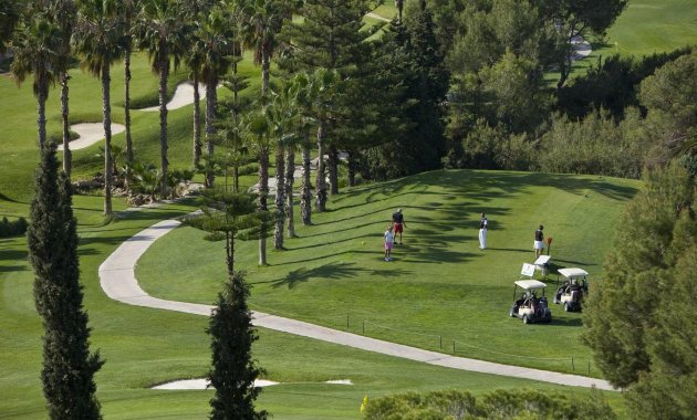 Obra nueva - Ático -
Orihuela Costa - Lomas de Campoamor