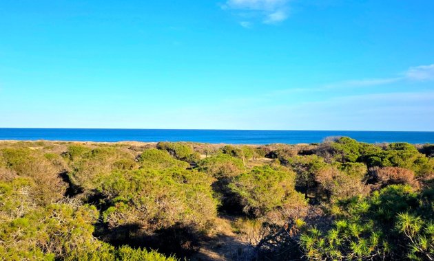 Resale - Apartment  -
Guardamar del Segura - Pinomar