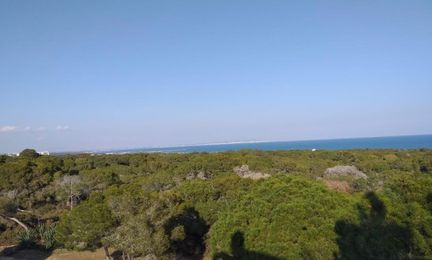 New Build - Penthouse -
Guardamar del Segura - Pueblo