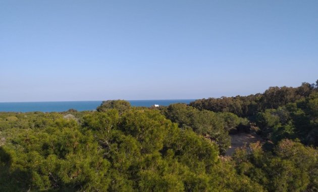 New Build - Penthouse -
Guardamar del Segura - Pueblo