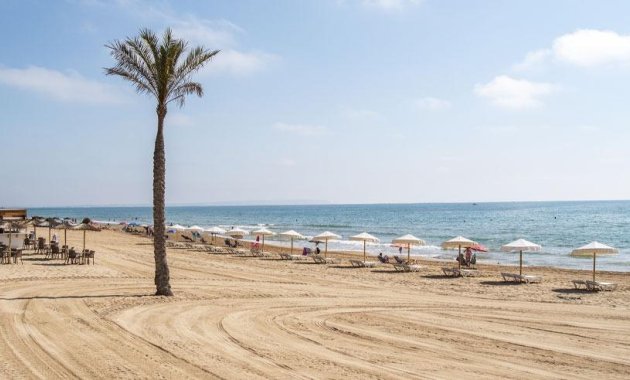 Obra nueva - Apartamento planta baja -
Guardamar del Segura - Pueblo