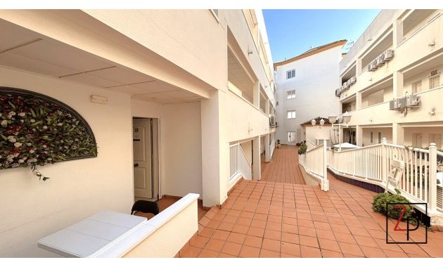 Reventa - Apartamento planta baja -
San Miguel de Salinas - Pueblo