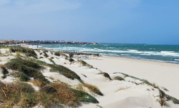 Obra nueva - Villa -
Pilar de la Horadada - Pilar De La Horadada