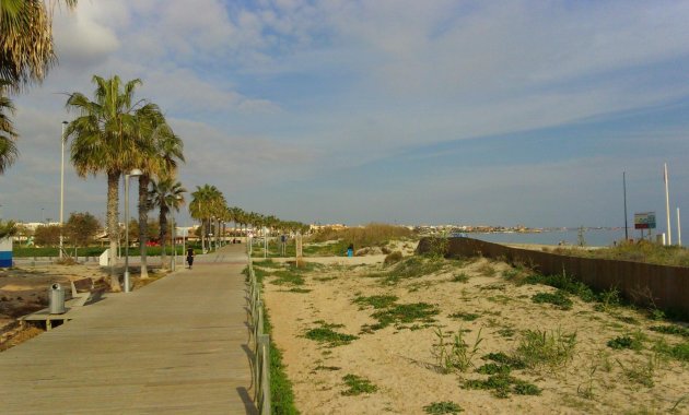 Obra nueva - Villa -
Pilar de la Horadada - Pilar De La Horadada