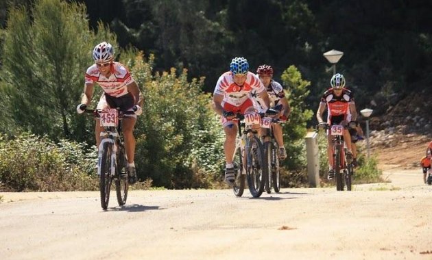 New Build - Apartment  -
Relleu - pueblo