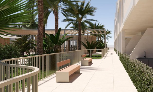 Obra nueva - Ático -
Torre Pacheco - San Cayetano