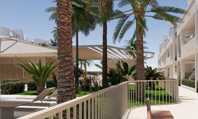 Obra nueva - Apartamento -
Torre Pacheco - San Cayetano